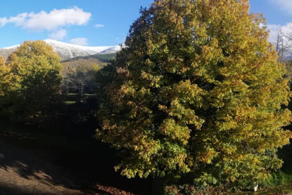Apto. Rural Las Candelas. La Covatilla Lejlighed Candelario Eksteriør billede