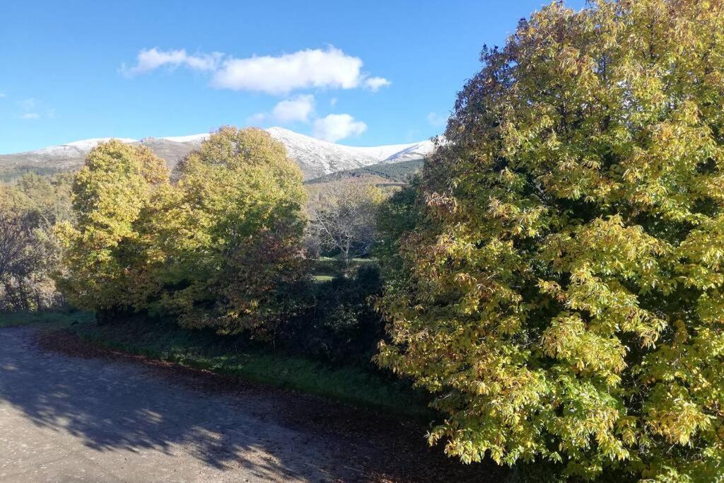 Apto. Rural Las Candelas. La Covatilla Lejlighed Candelario Eksteriør billede